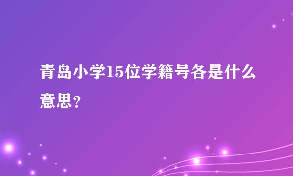 青岛小学15位学籍号各是什么意思？