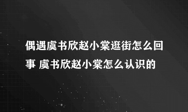 偶遇虞书欣赵小棠逛街怎么回事 虞书欣赵小棠怎么认识的
