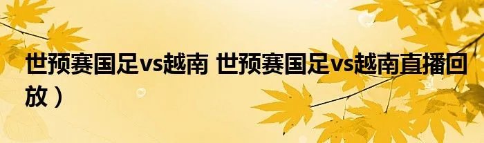 世预赛国足vs越南 世预赛国足vs越南直播回放）