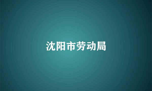 沈阳市劳动局