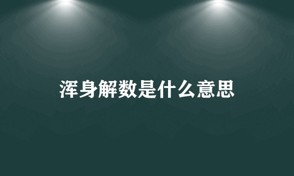 浑身解数是什么意思