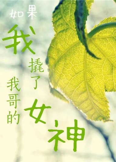 全程车的百合文内容