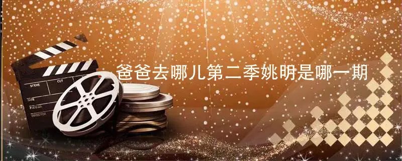 爸爸去哪儿第二季姚明是哪一期