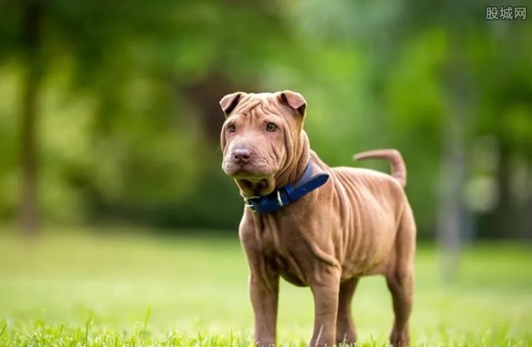 蚌埠徽州宴老板娘处理结果 真实身份曝光道歉了吗