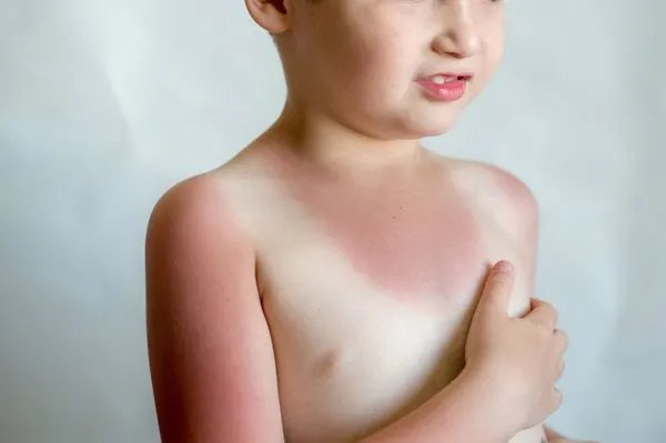 什么能屏蔽电磁波