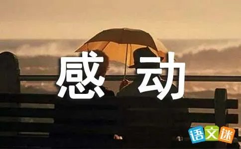 感动在身边作文