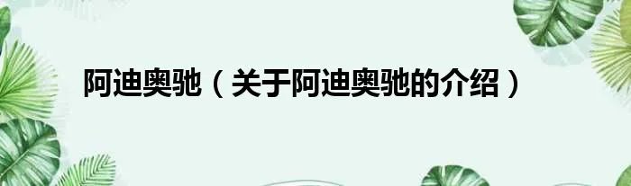 阿迪奥驰（关于阿迪奥驰的介绍）