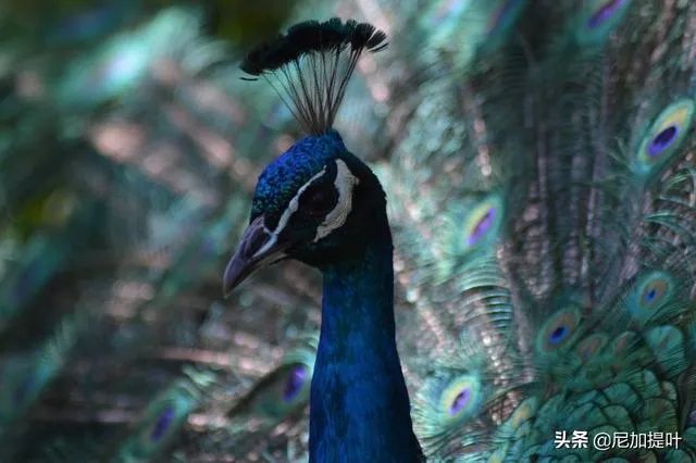 低端单反存在的意义是什么？