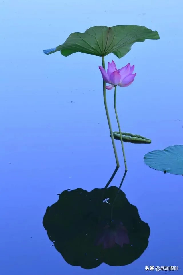 低端单反存在的意义是什么？